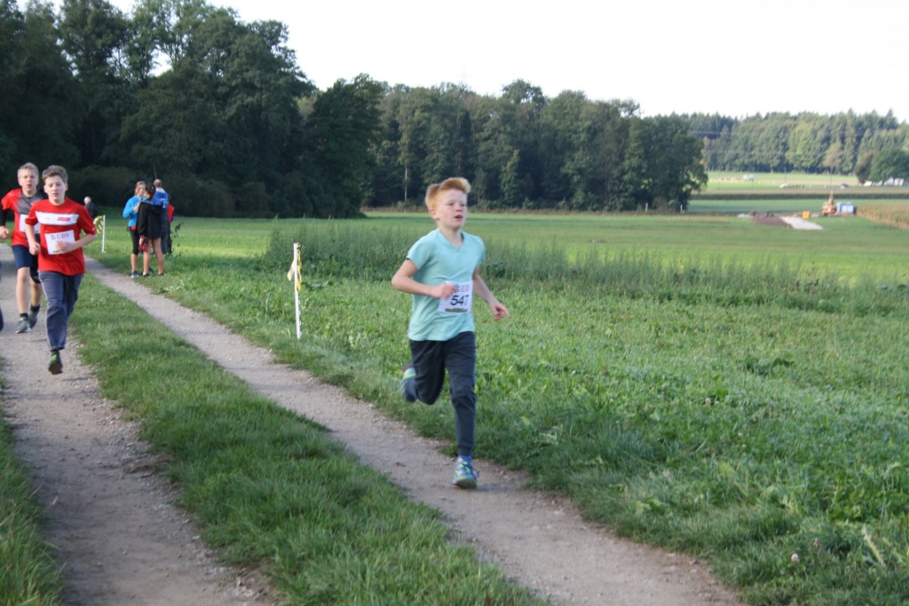 Bild 1 (55)